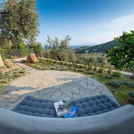 Old Olive * Ano Gatzea