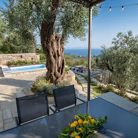 Old Olive Villa Ano Gatzea