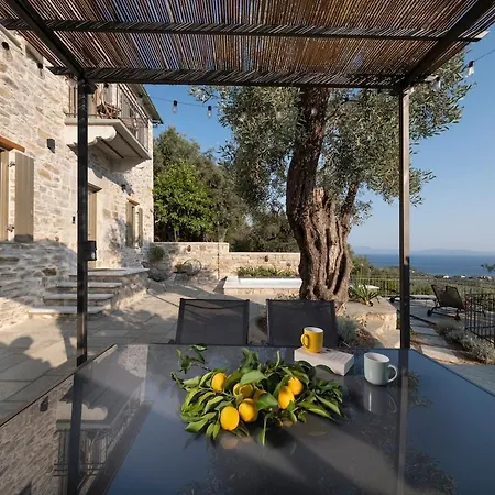 Villa Old Olive *