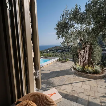 Old Olive * Ano Gatzea