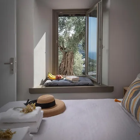 Old Olive Villa