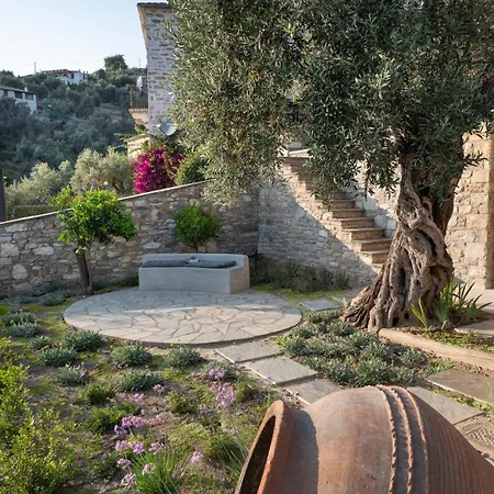 Old Olive Villa *